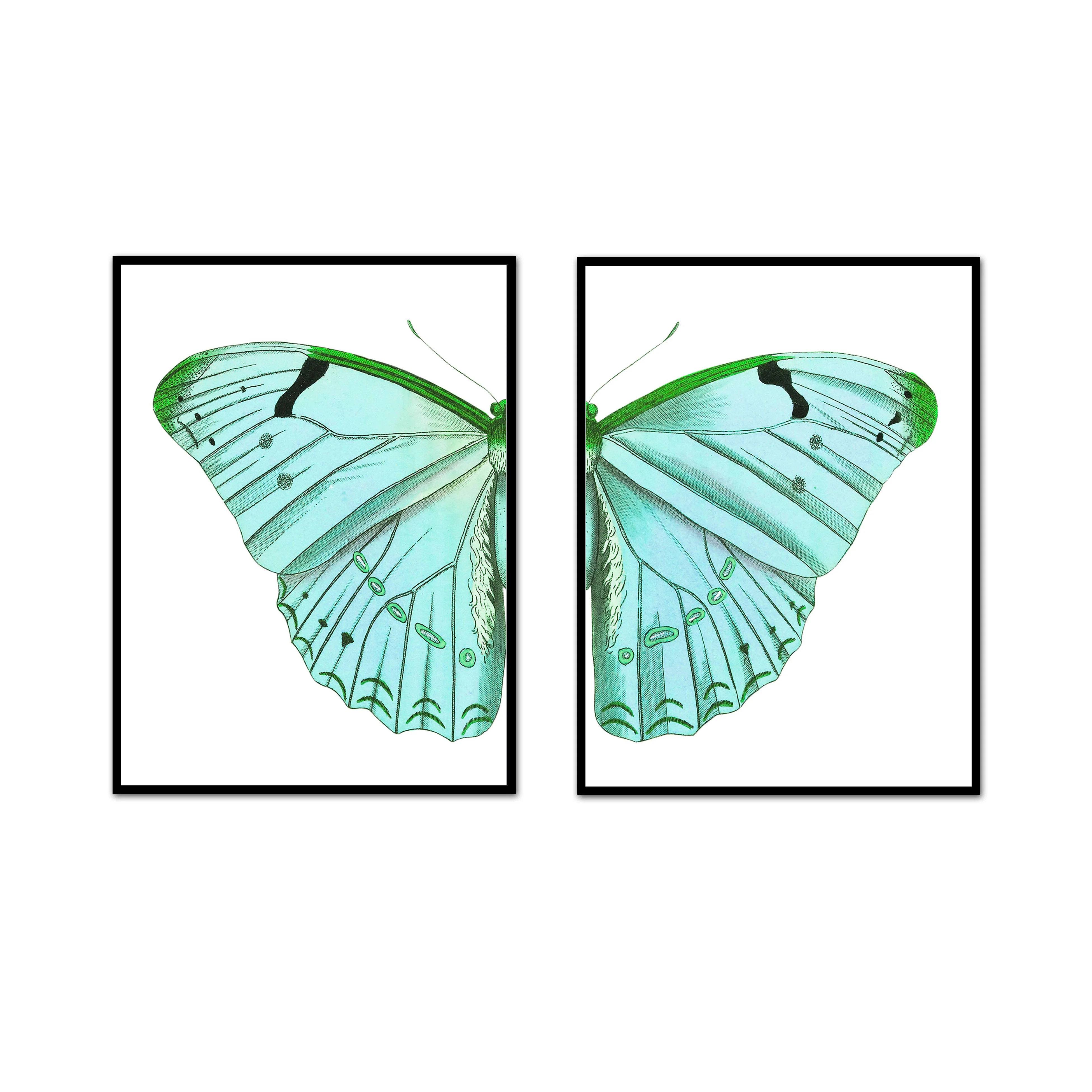 Split Teal Green Moth Print | Butterfly Triptych | Multiple Sizes | Urban Garden Prints