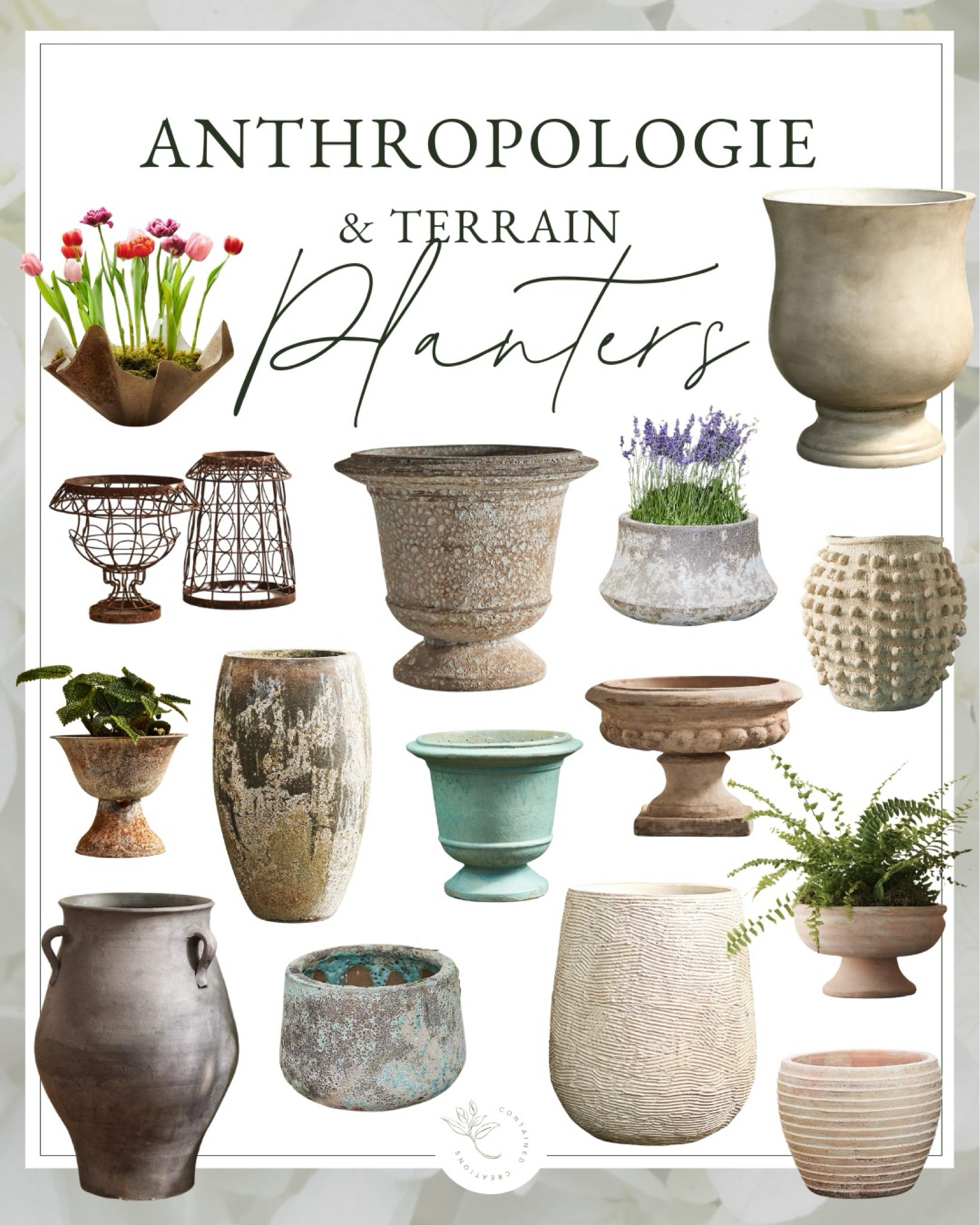 Shop my favorite planters from Anthropologie and Terrain!

#LTKSpringSale #LTKhome #LTKSeasonal