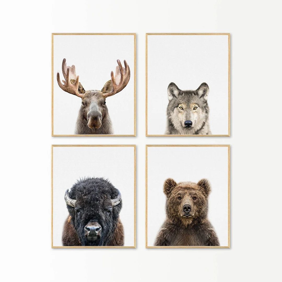Nursery Wall Art Decor, Woodland Animals Print Set of 4, Moose Print, Bison Buffalo, Wolf, Bear, ... | Etsy (US)