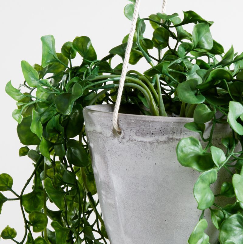 Artificial Trailing Ficus Hanging Plant in Pot + Reviews | Crate and Barrel | Crate & Barrel