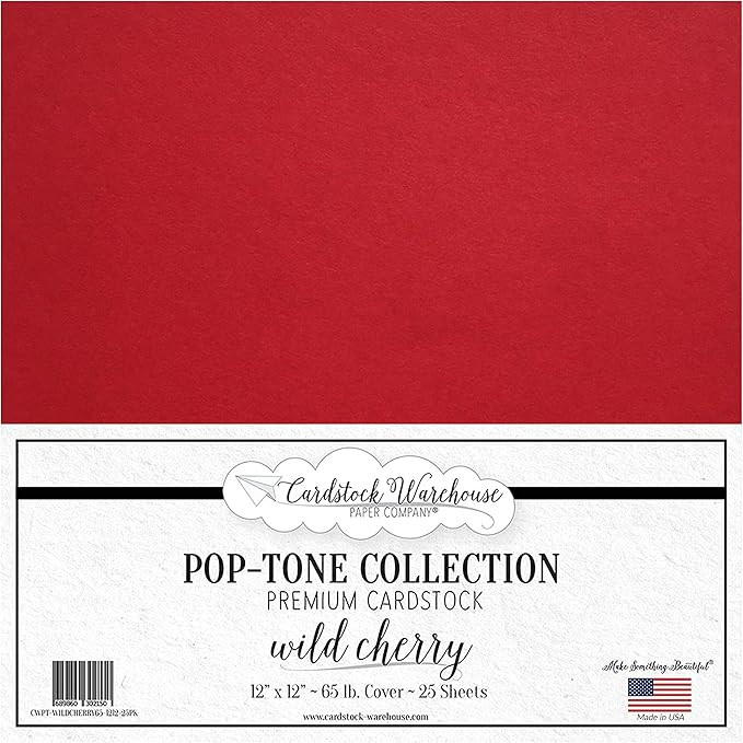 Wild Cherry Red Cardstock Paper - 12 X 12 Inch 65 Lb. Premium Cover - 25 Sheets From Cardstock Wa... | Amazon (US)