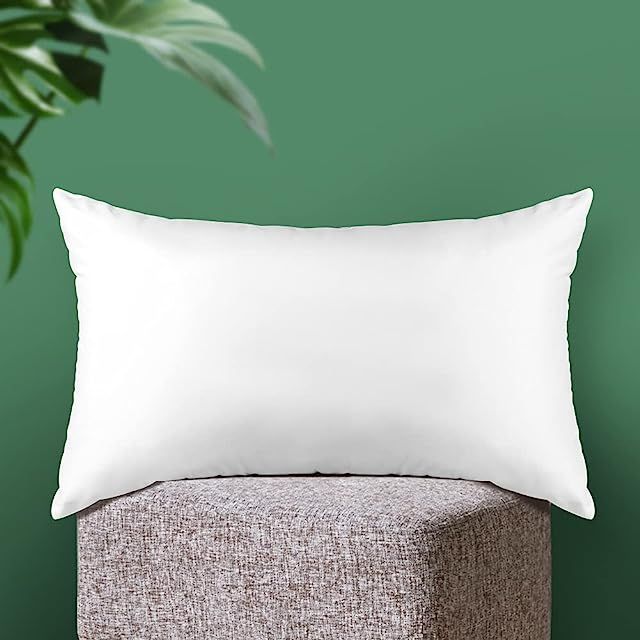 MIULEE Throw Pillow Insert Hypoallergenic Premium Pillow Stuffer Sham Rectangle for Decorative Cu... | Amazon (US)