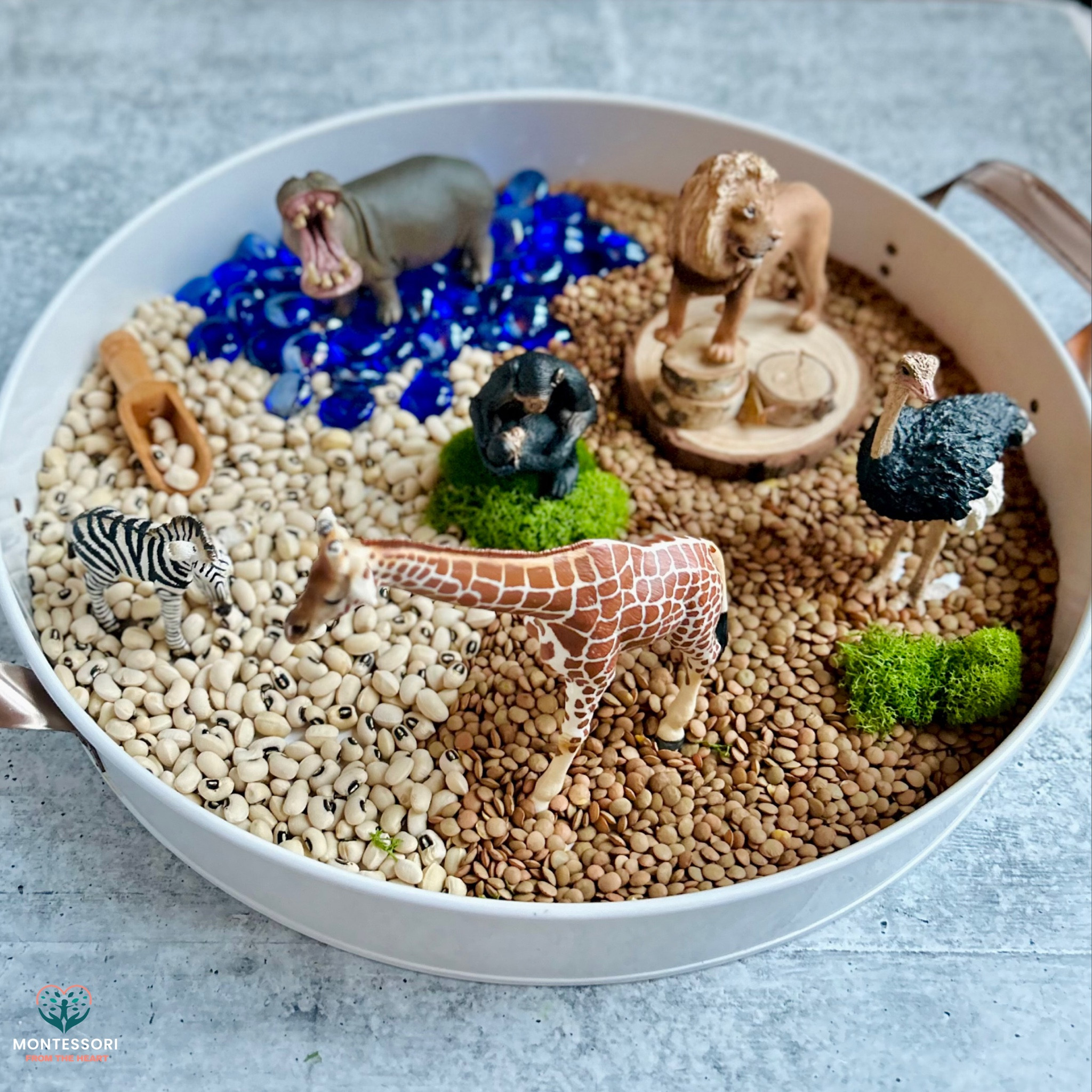 🐘🦁🌿🦓 Safari Sensations African Animals Sensory Bin using your cupboard items 

#LTKhome #LTKkids #LTKfamily