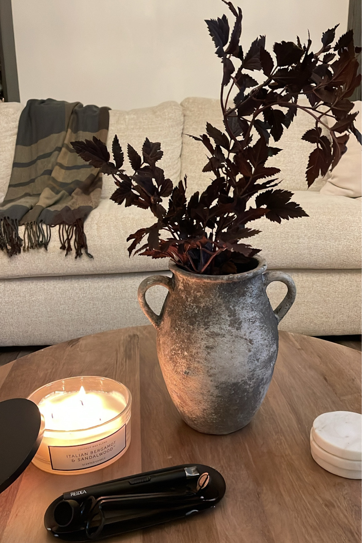 Afloral stems. Fall decor. 