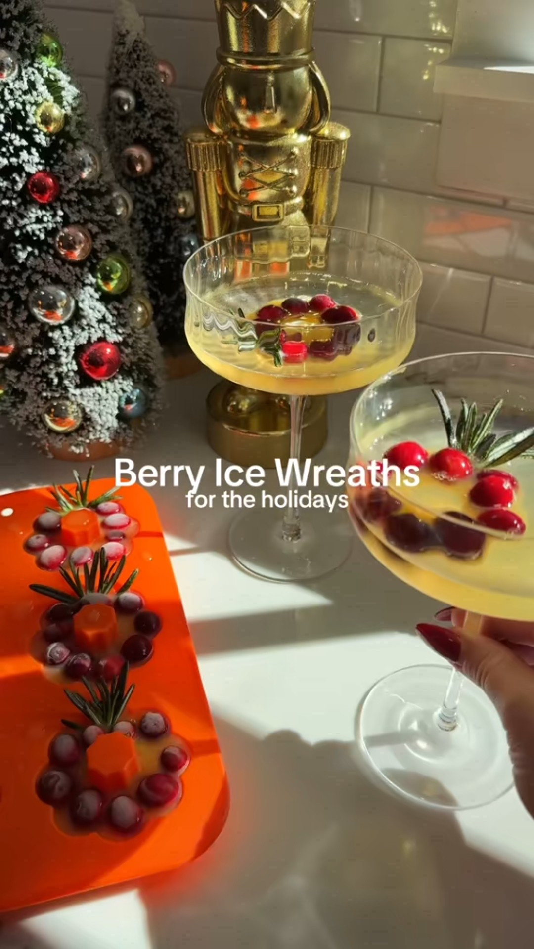 Berry Ice Wreaths for your holiday mimosas! 

#LTKHome #LTKfoodie #LTKHoliday