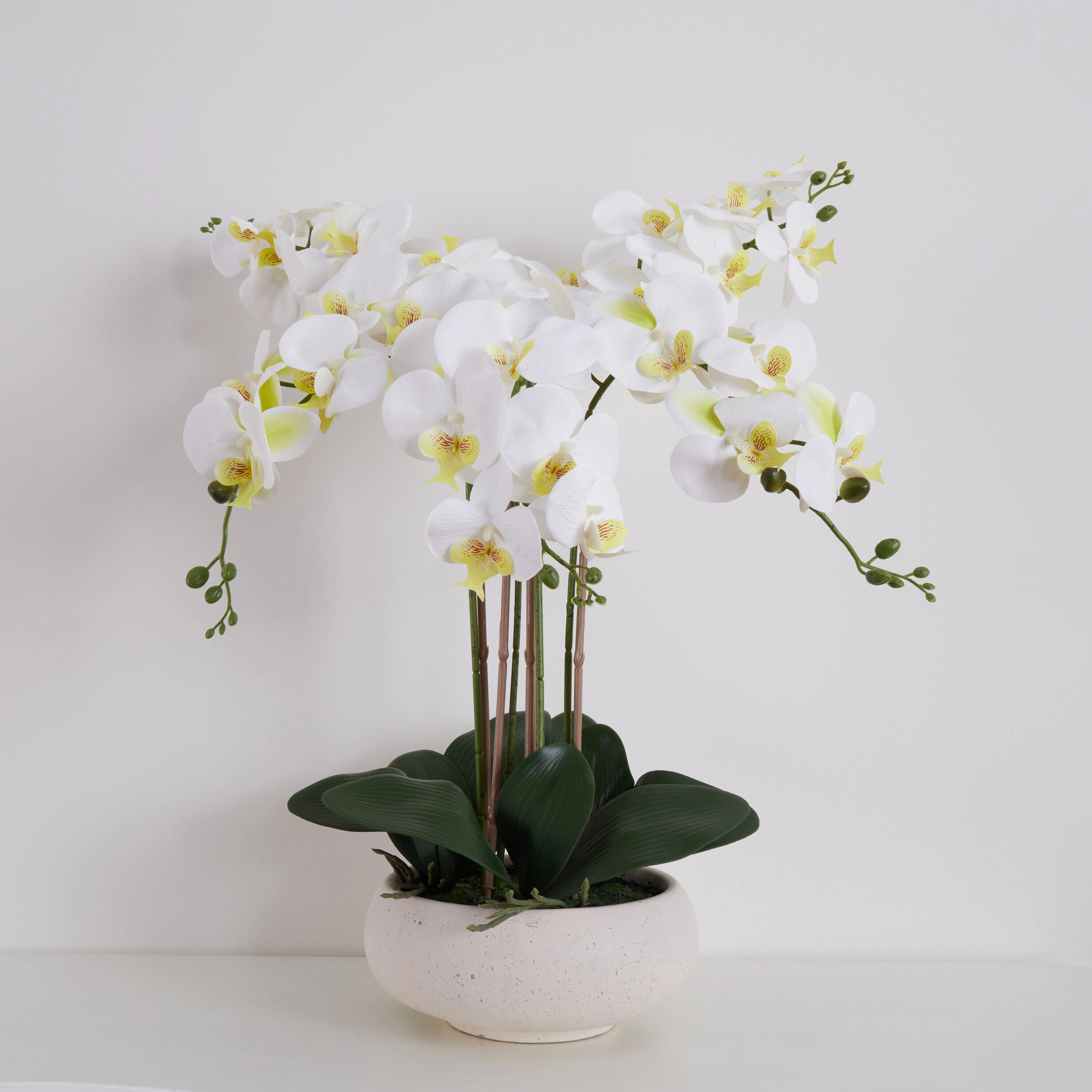 allen + roth 23-in White Indoor Desktop Orchid Artificial flower | A2064 | Lowe's