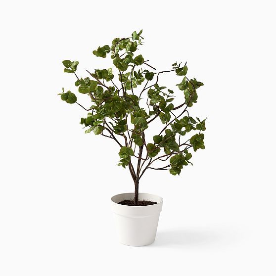 Faux Potted Tabletop Wire Netting Bush Plant, 22"", Green | West Elm (US)
