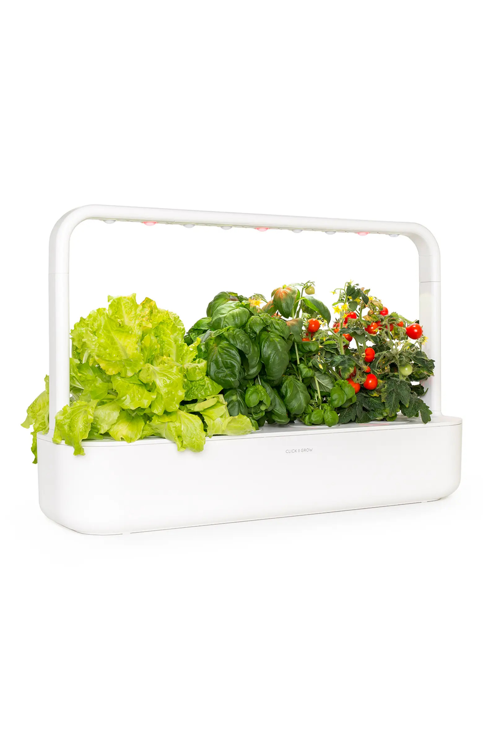 Smart Garden 9 Self Watering Indoor Garden | Nordstrom