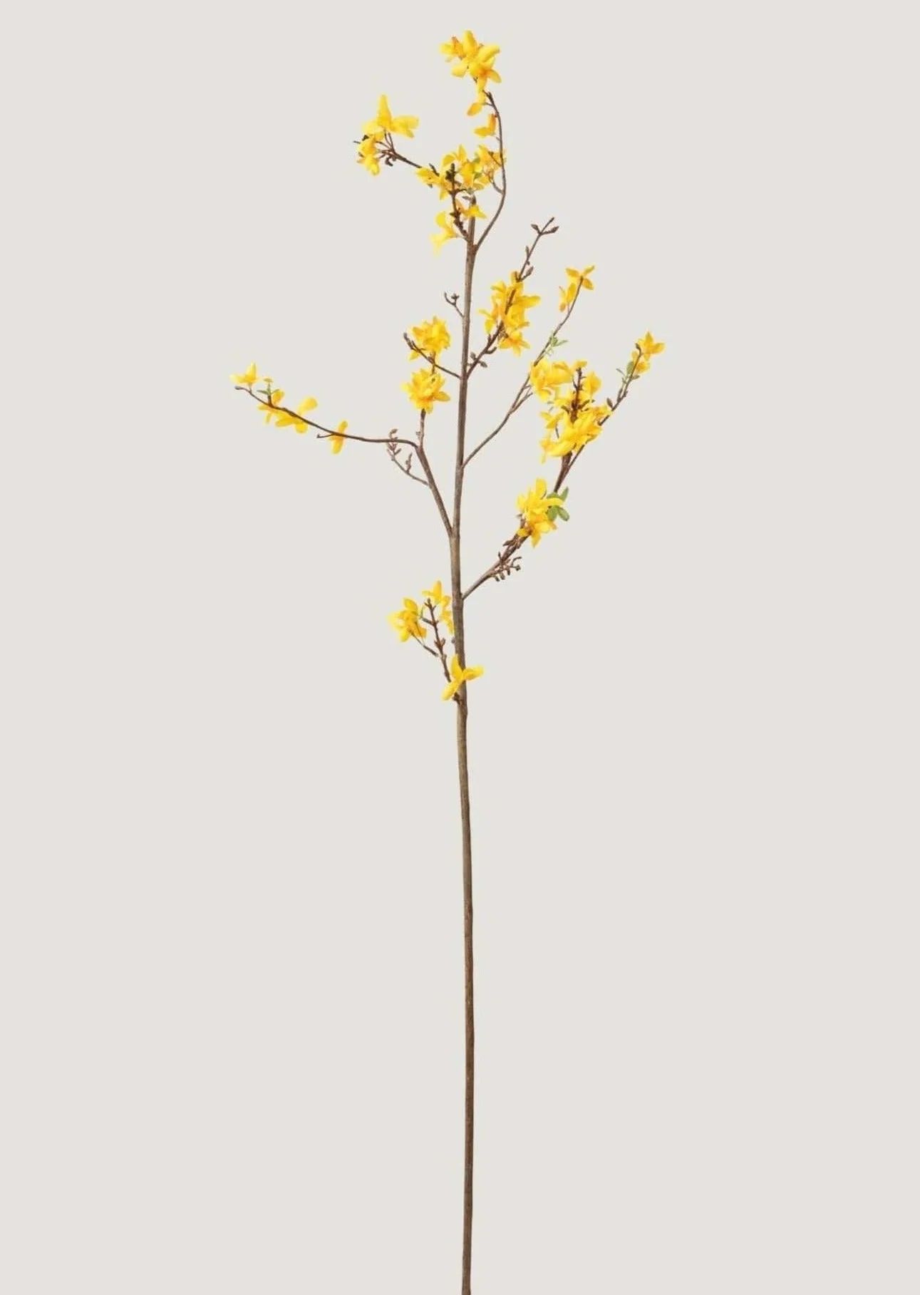 Faux Forsythia Branch in Yellow Gold - 52" | Afloral