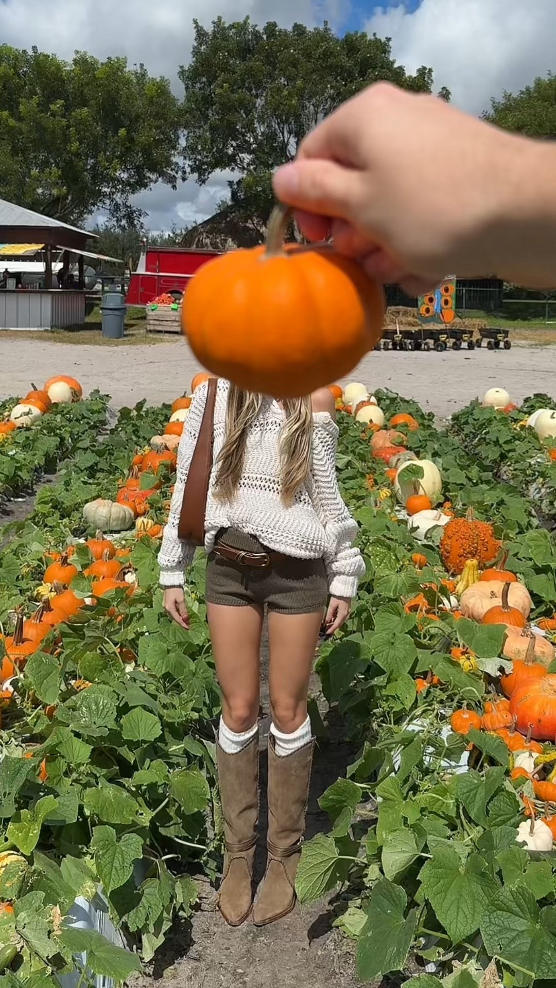 Florida fall🎃

#LTKSeasonal #LTKHalloween #LTKFindsUnder100