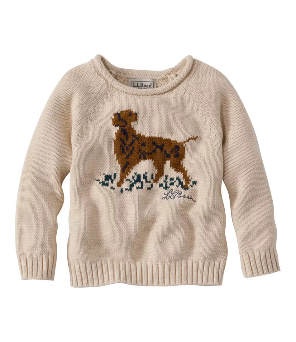 Infants' and Toddlers' Cotton Rollneck Sweater | L.L. Bean
