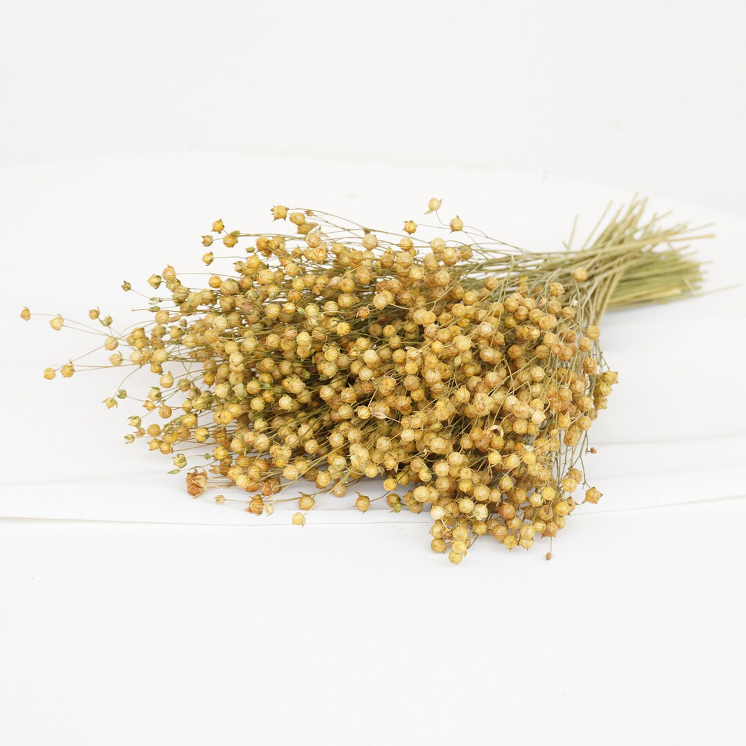 Natural Dried Flax Bunch ,linum Bouquet,diy Craft Supplyhome Decorwedding Flowers Decorbouquet De... | Etsy (US)