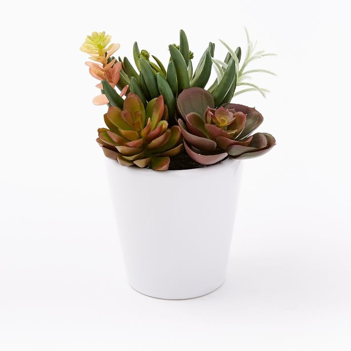 Faux Potted Mixed Succulent Plants | West Elm (US)