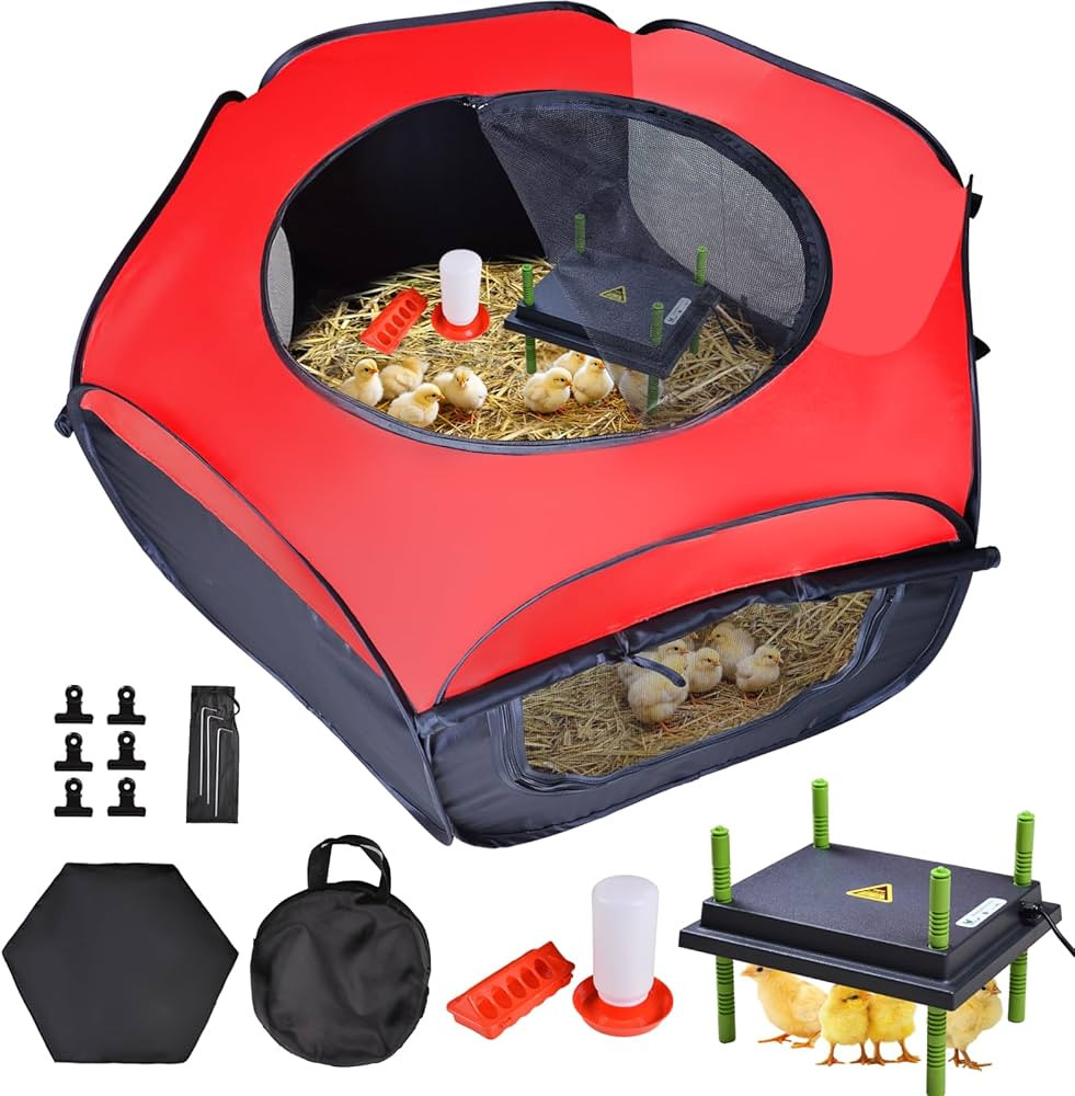 Chicken Brooder Box for Chick Starter Kit - 10 * 12inch Brooder Heating Plate Chick Brooder Pen/B... | Amazon (US)