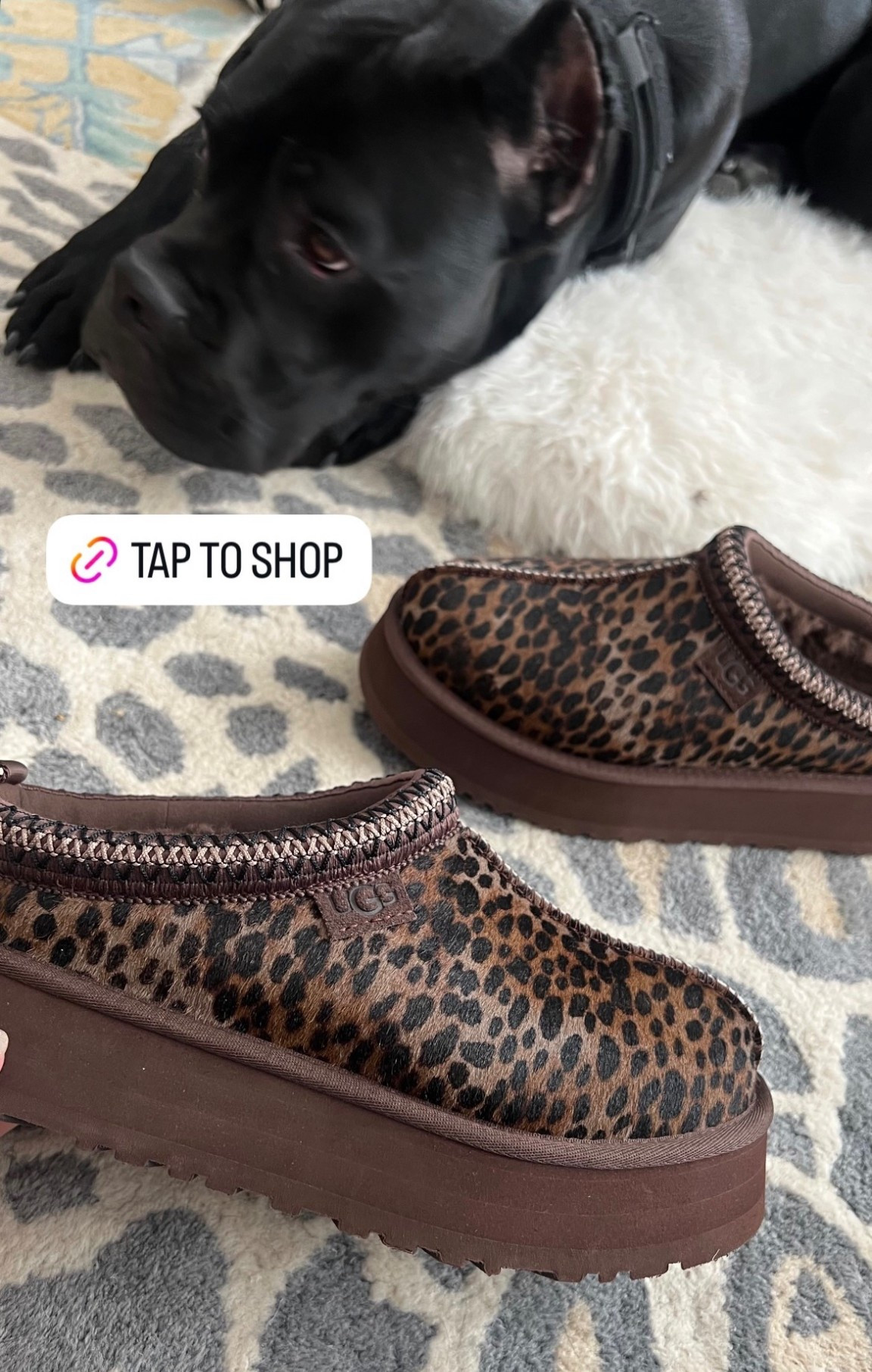 Favorite UGGs leopard tazz