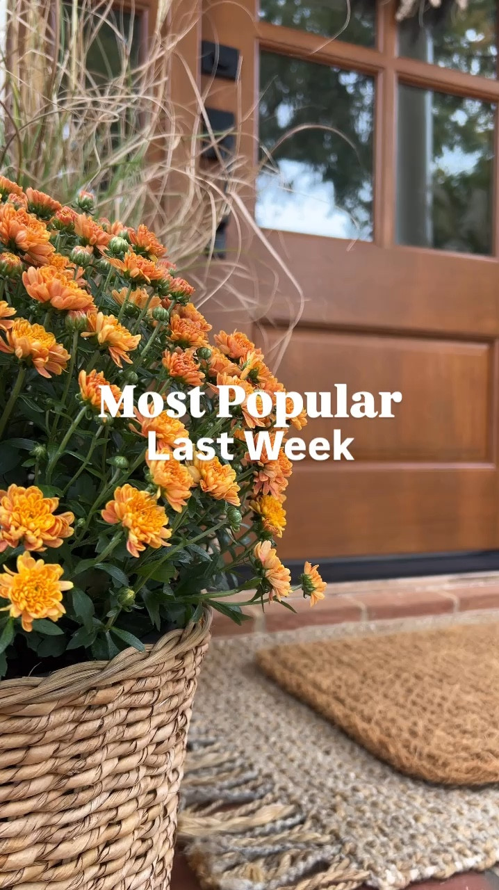 Last weeks most popular items | outdoor wall sconce | loloi rug | loloi runner | wall hook | utensil crock | wayfair | world market | Amazon | living room rug | kitchen runner | bathroom rug | porch decor | kitchen decor 

#LTKSaleAlert #LTKVideo #LTKHome