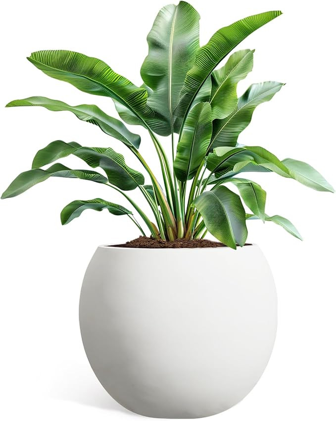 YOLENY Round Planter with Drainage Hole, 17.7'' Dia Large Sphere Planter with Removable Plug, Flo... | Amazon (US)