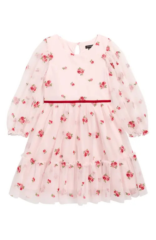 Zunie Kids' Floral Embroidered Mesh Tiered Party Dress in Pink at Nordstrom, Size 4 | Nordstrom