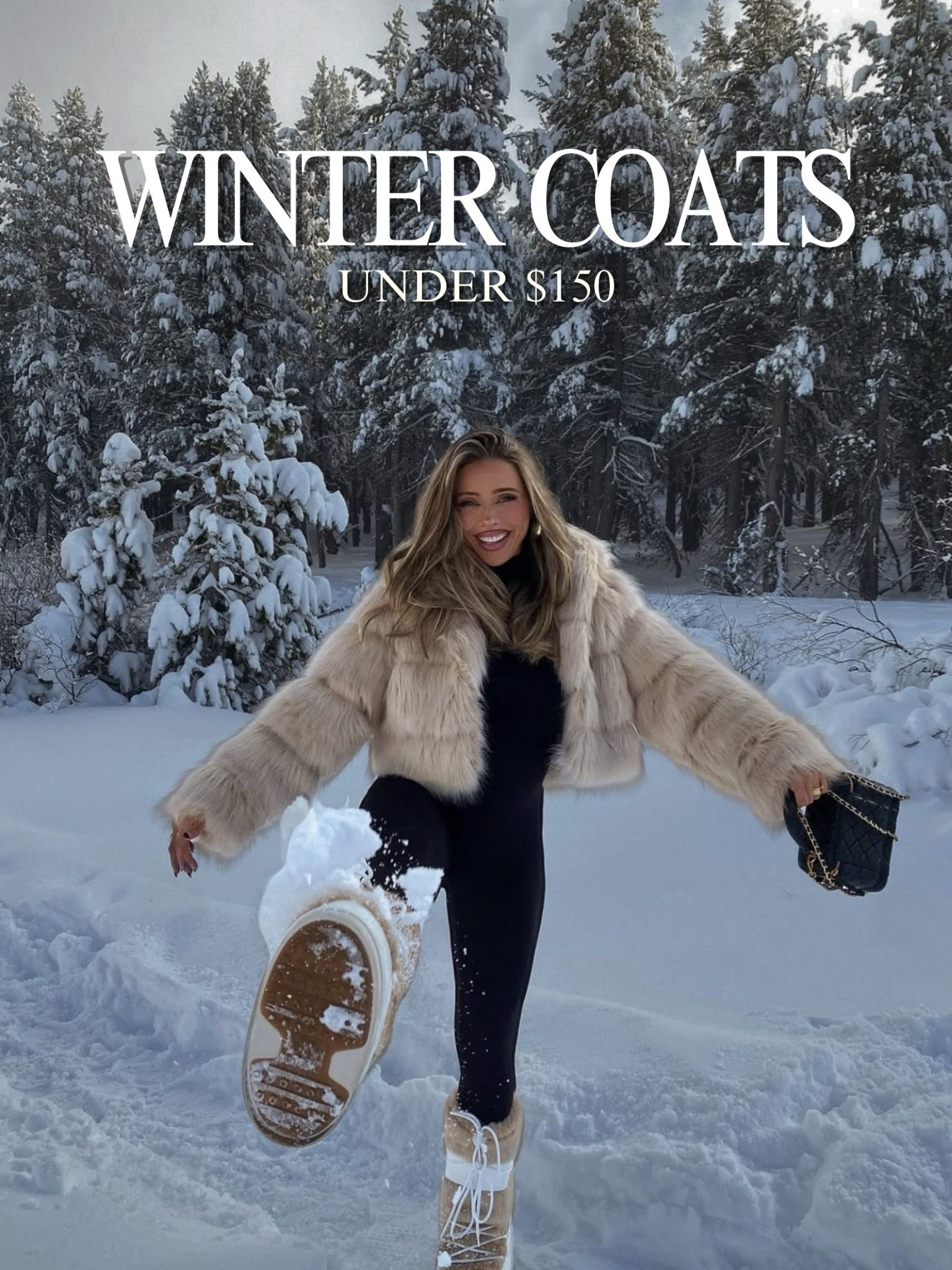 Winter coats under $150

#LTKHoliday #LTKSeasonal