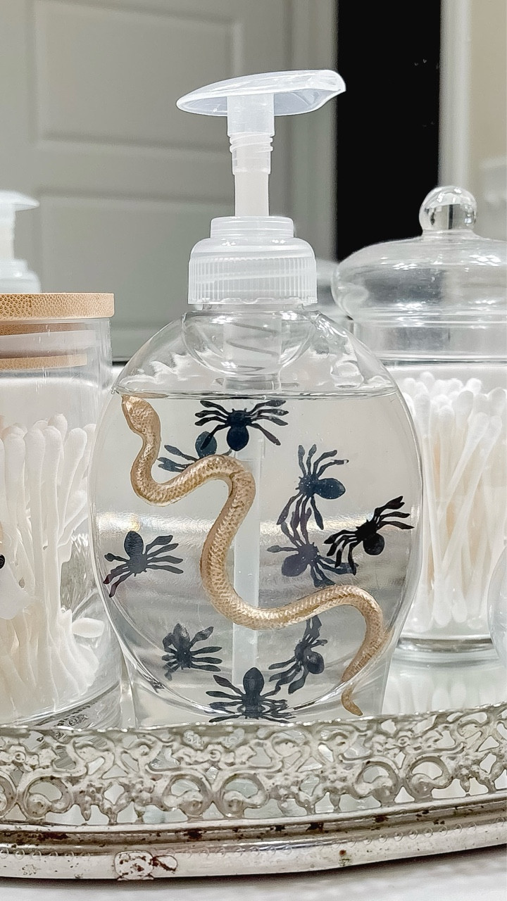 🕷️ Easy Halloween Glow-Up! 🐍
I’ve seen the idea of adding plastic spiders to soap around the internet for years, and finally decided to try it but with a twisssst! 😉🐍

#LTKHome #LTKSeasonal
