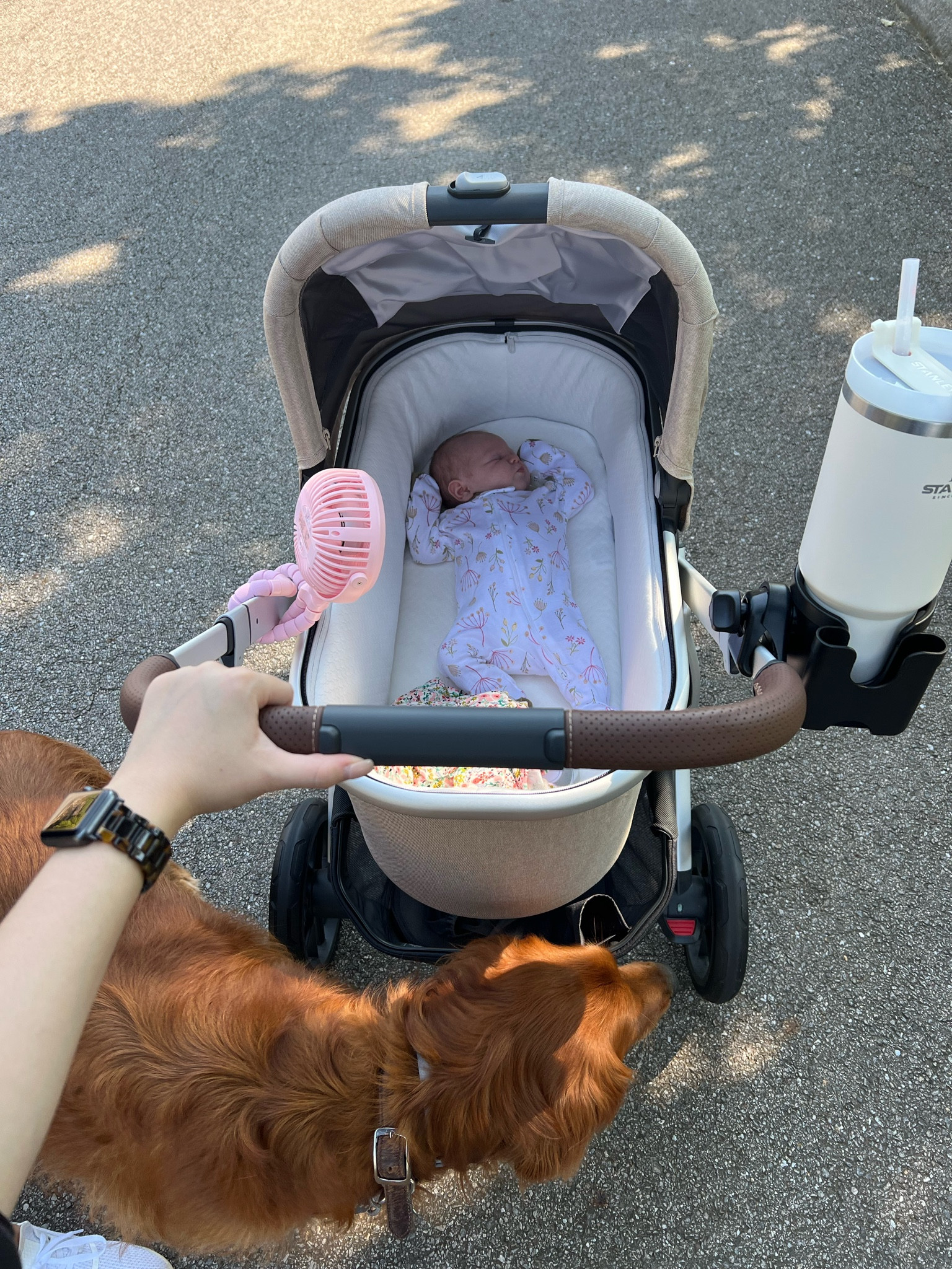 Baby walk must haves! Love our stroller!

#LTKbaby #LTKtravel #LTKSeasonal