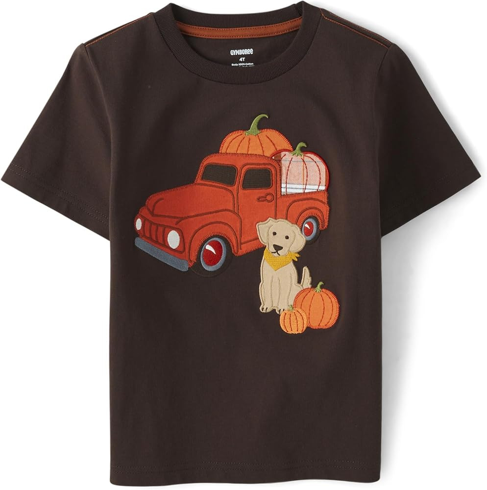 Gymboree Boys' and Toddler Embroidered Graphic Short Sleeve T-Shirts | Amazon (US)