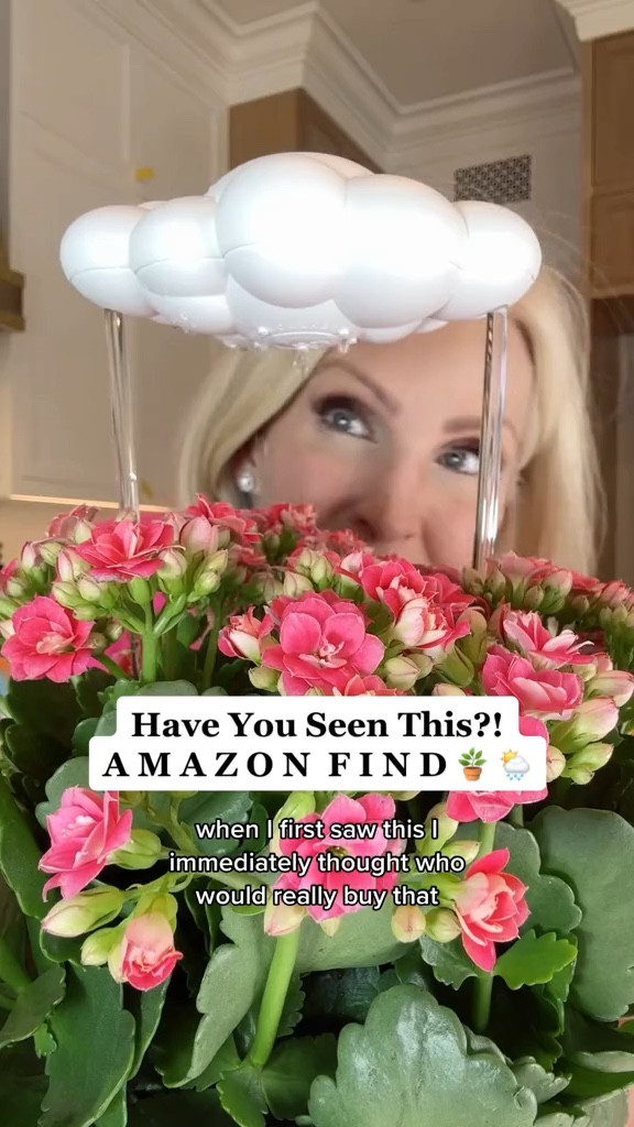 Shop the reel: My New Favorite Amazon Home Find 
On sale now! Makes a great little gift 

amazon find, amazon home, amazon home find, spring decor, flower pot, flower vase, amazon home decor, gift idea

#LTKsalealert #LTKhome #LTKSeasonal