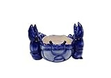 Amazon.com: Blue Sky Ceramic Crab Butter Bowl, 7 x 5 x 5", Blue : Home & Kitchen | Amazon (US)