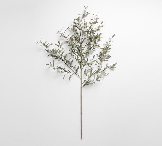 Faux Fading Olive Branch | Pottery Barn (US)