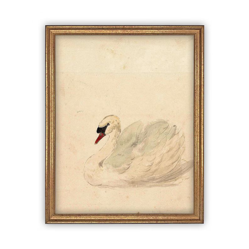Vintage Framed Canvas Art // Framed Vintage Print // Vintage Painting // White Swan Art // Girls ... | Etsy (US)