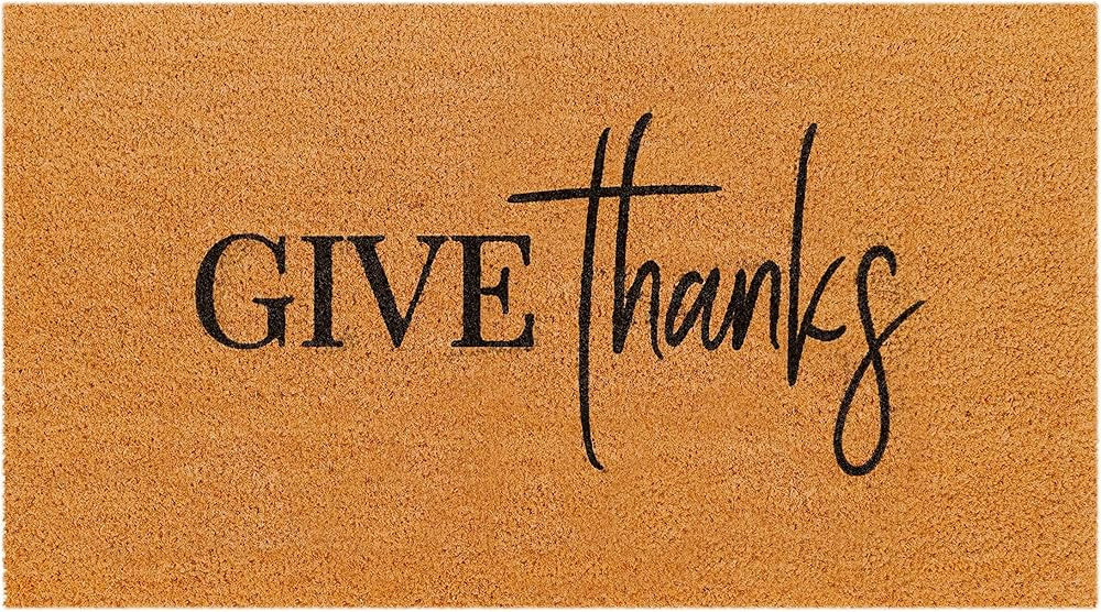 THEODORE MAGNUS Natural Coir Doormat with Non-Slip Backing - 17 x 30 - Outdoor/Indoor - Fall Door... | Amazon (US)