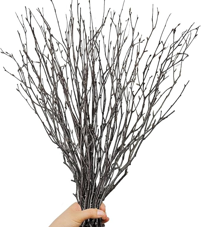 30Pcs Real Dried Birch Twigs - 17” Decorative 100% Natural Birch Branches for Easter Vases, Cur... | Amazon (US)