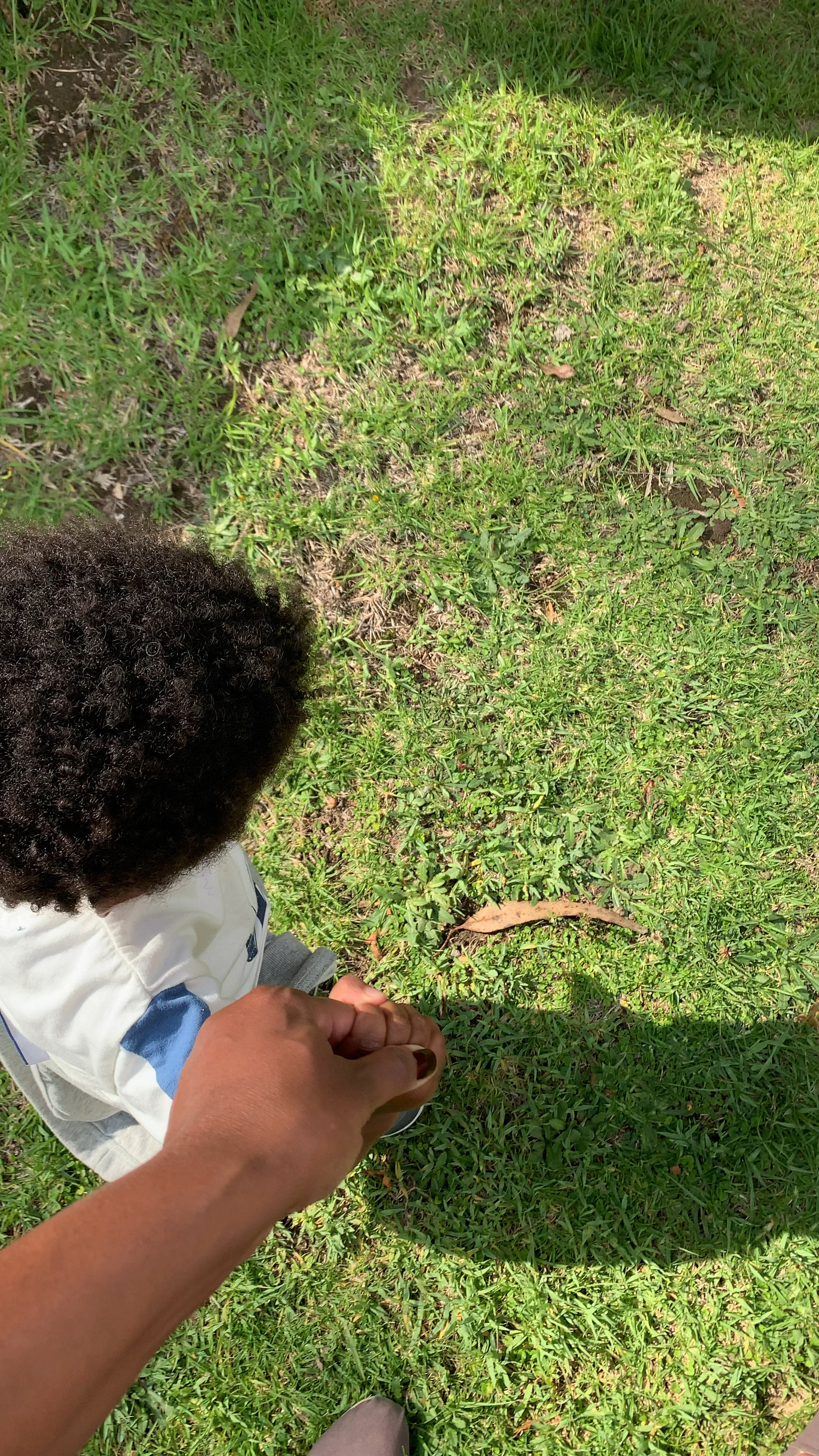 Gideon’s Current Hair Staples 

#LTKfamily #LTKbaby #LTKkids