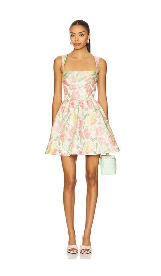 Ivy Mini Dress in Pink And Green Multi | Revolve Clothing (Global)