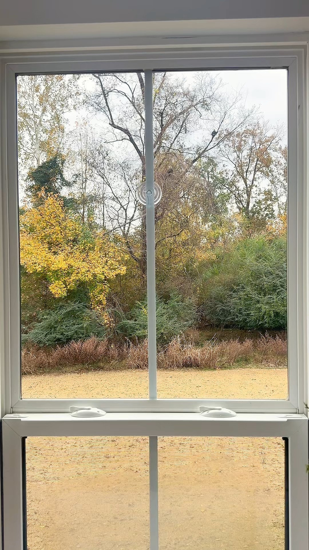 Full, realistic, and instantly polished.

#LTKHoliday #LTKSeasonal #LTKHome