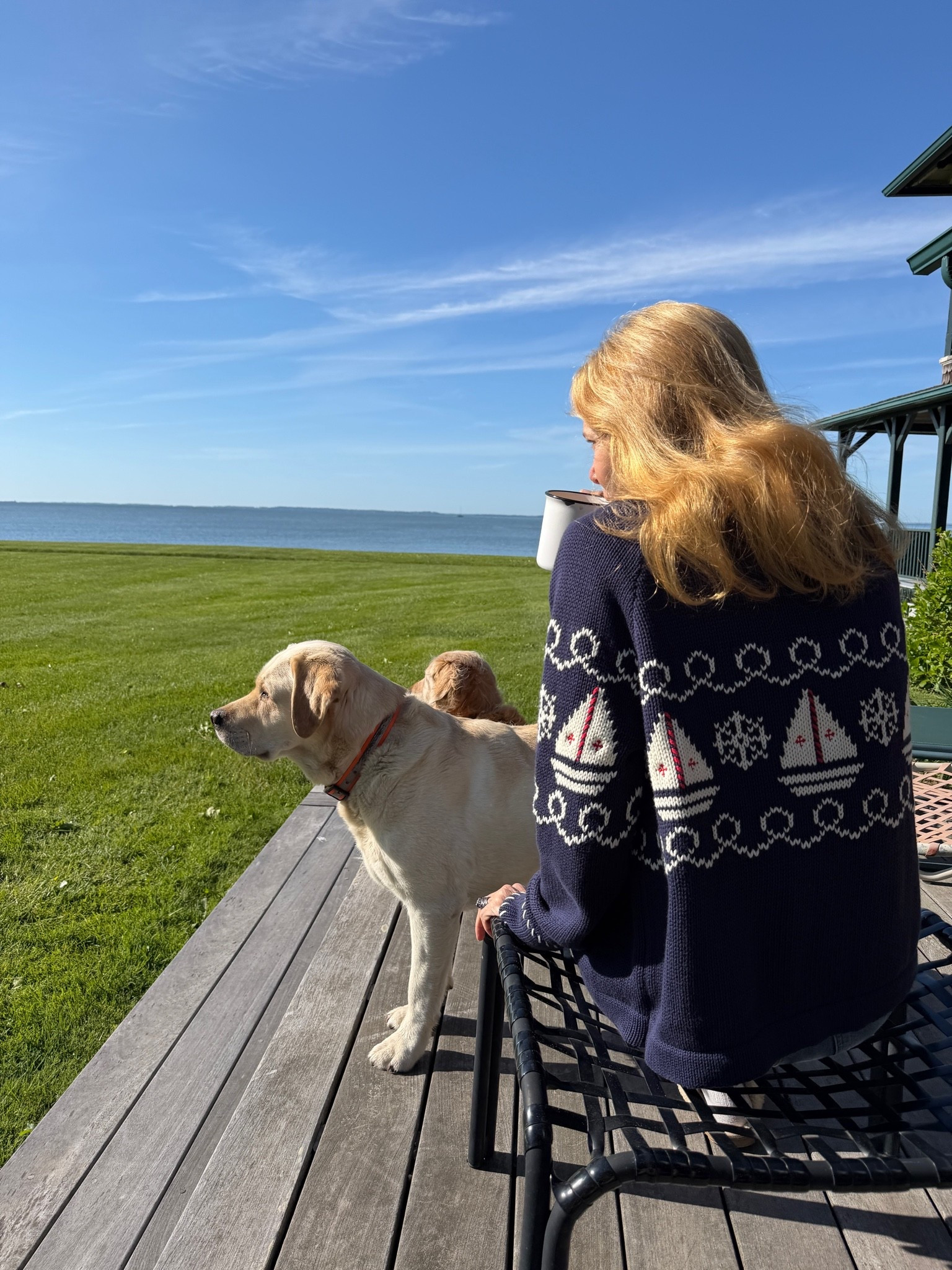 Summer sweater

#LTKootd #LTKdayinmylife #LTKgrwm