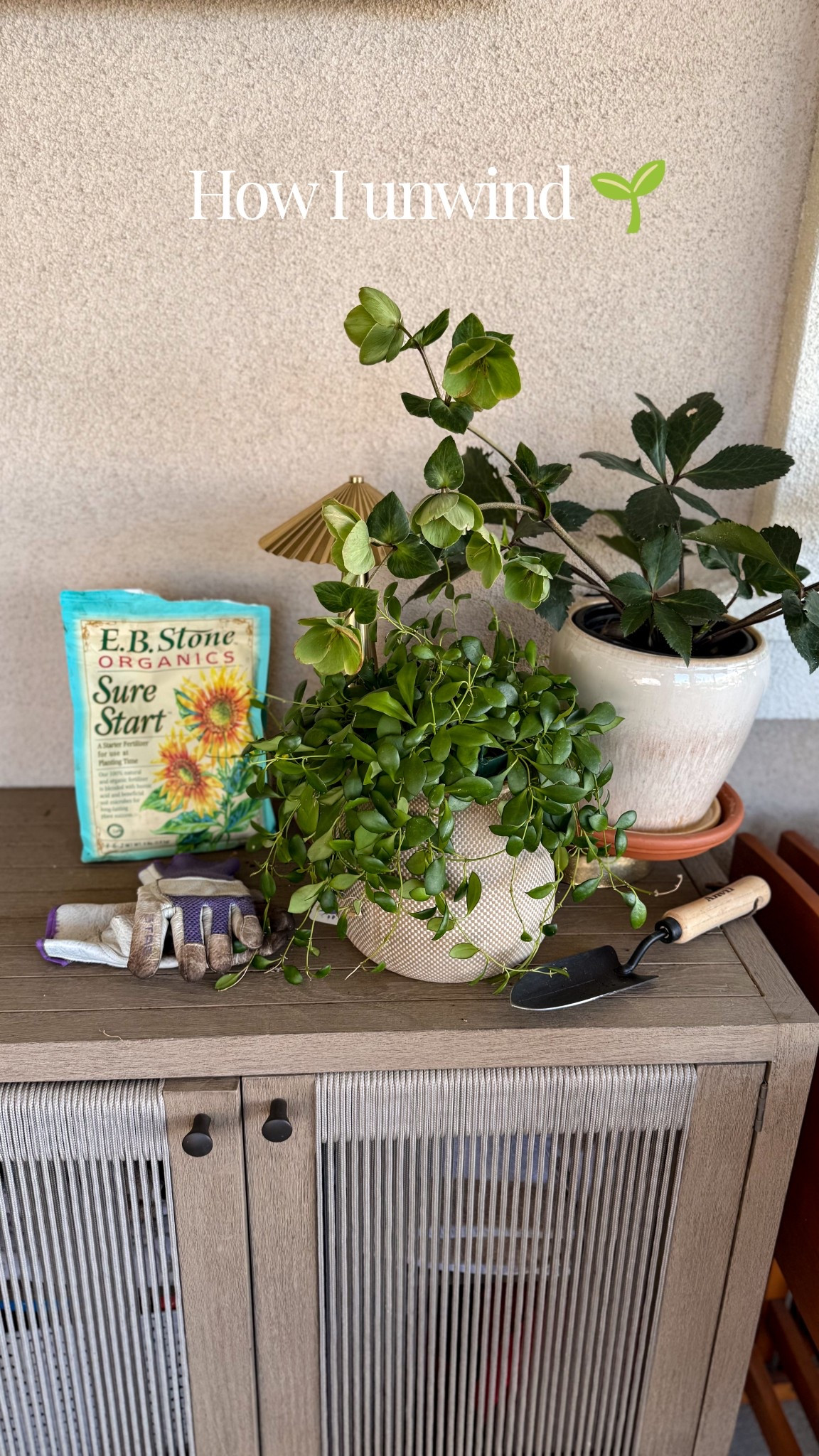 Spending time with my hands in the soil fills my soul. Been more intentional about getting outside lately. 

Gardening, joy, happy place 

#LTKHome #LTKselfcare #LTKdayinmylife