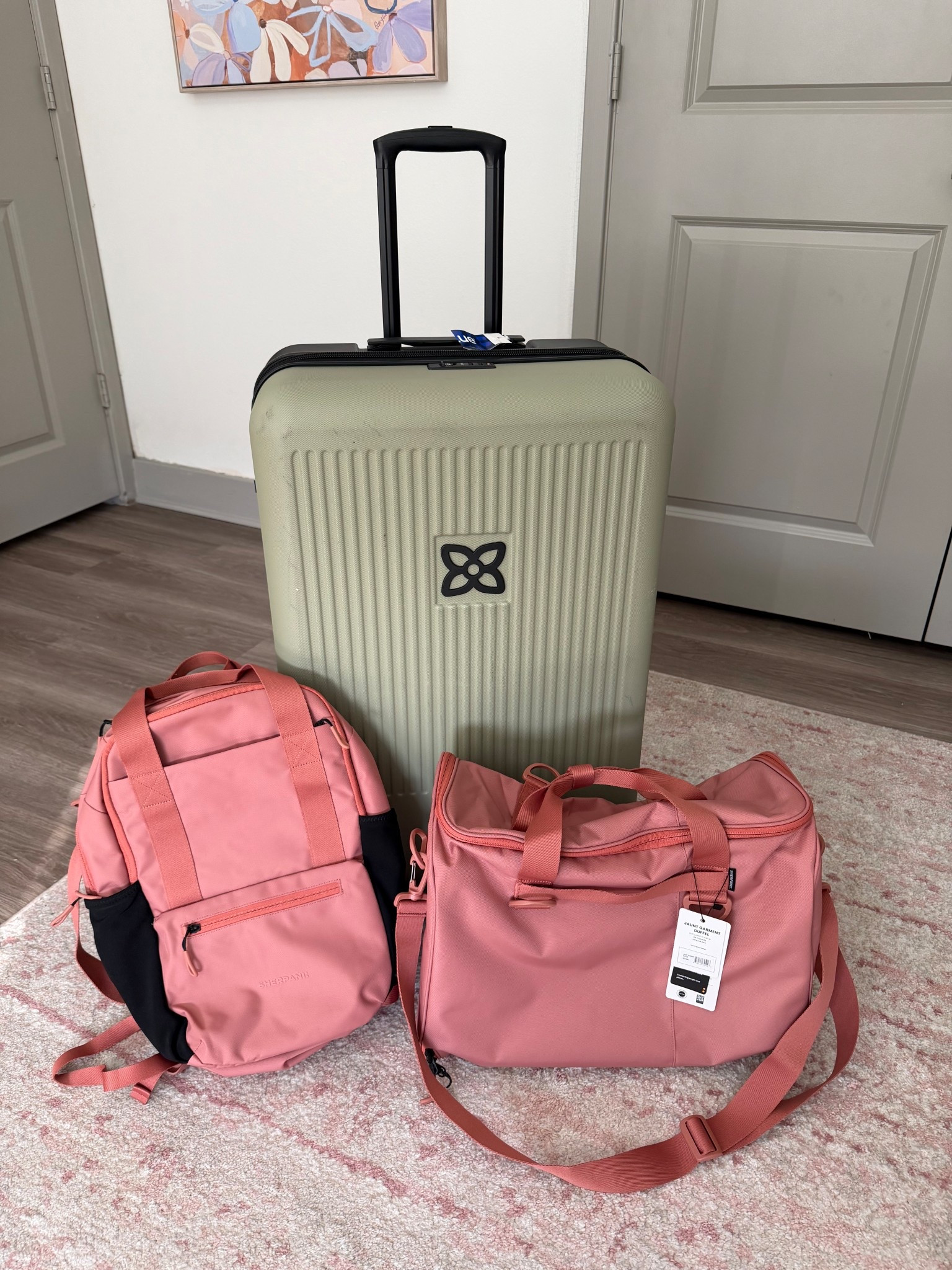 Sherpani luxury luggage! Large size rolling checked luggage holds so much! Backpack has a million compartments and garment bag rolls up and holds much more than just hanging clothes  

#LTKWedding #LTKHome #LTKTravel