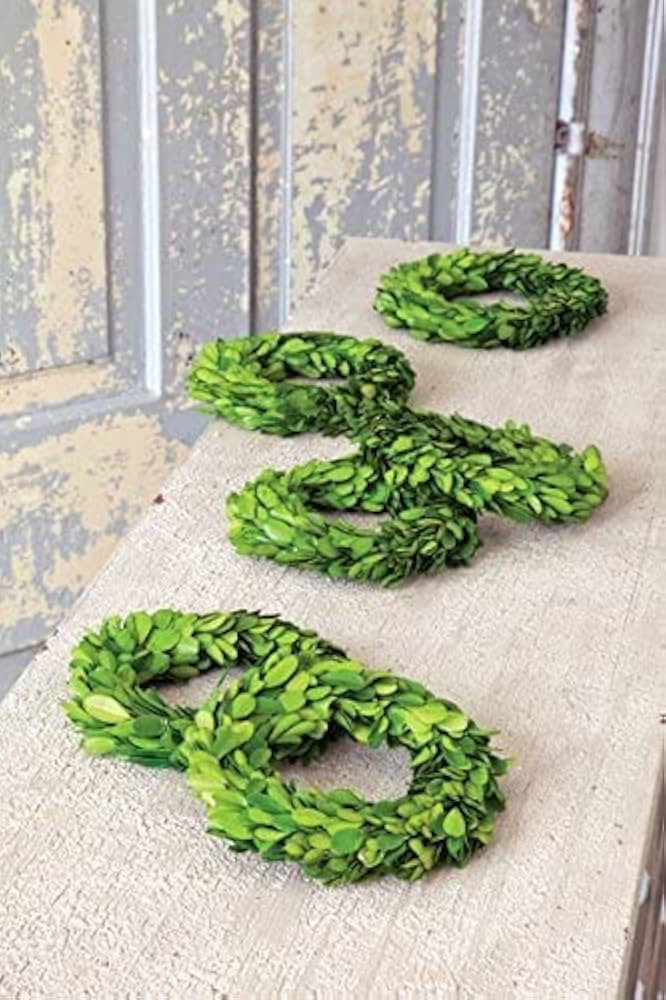 Tradingsmith Mini Wreath Preserved Boxwood (Set of 6) | Amazon (US)
