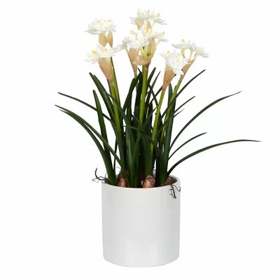 Daffodil Floral Arrangements and Centerpieces in Pot | Wayfair North America