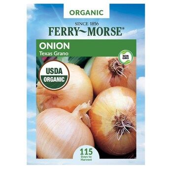 Ferry-Morse 2.5-Gram Onion Texas Grano Vegetable (Seed Packet) | Lowe's