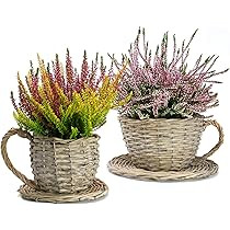Set of 2 Willow Teacup Planters | Cup and Saucer Plant Pots | Basket Weave Watertight Flower Contain | Amazon (US)