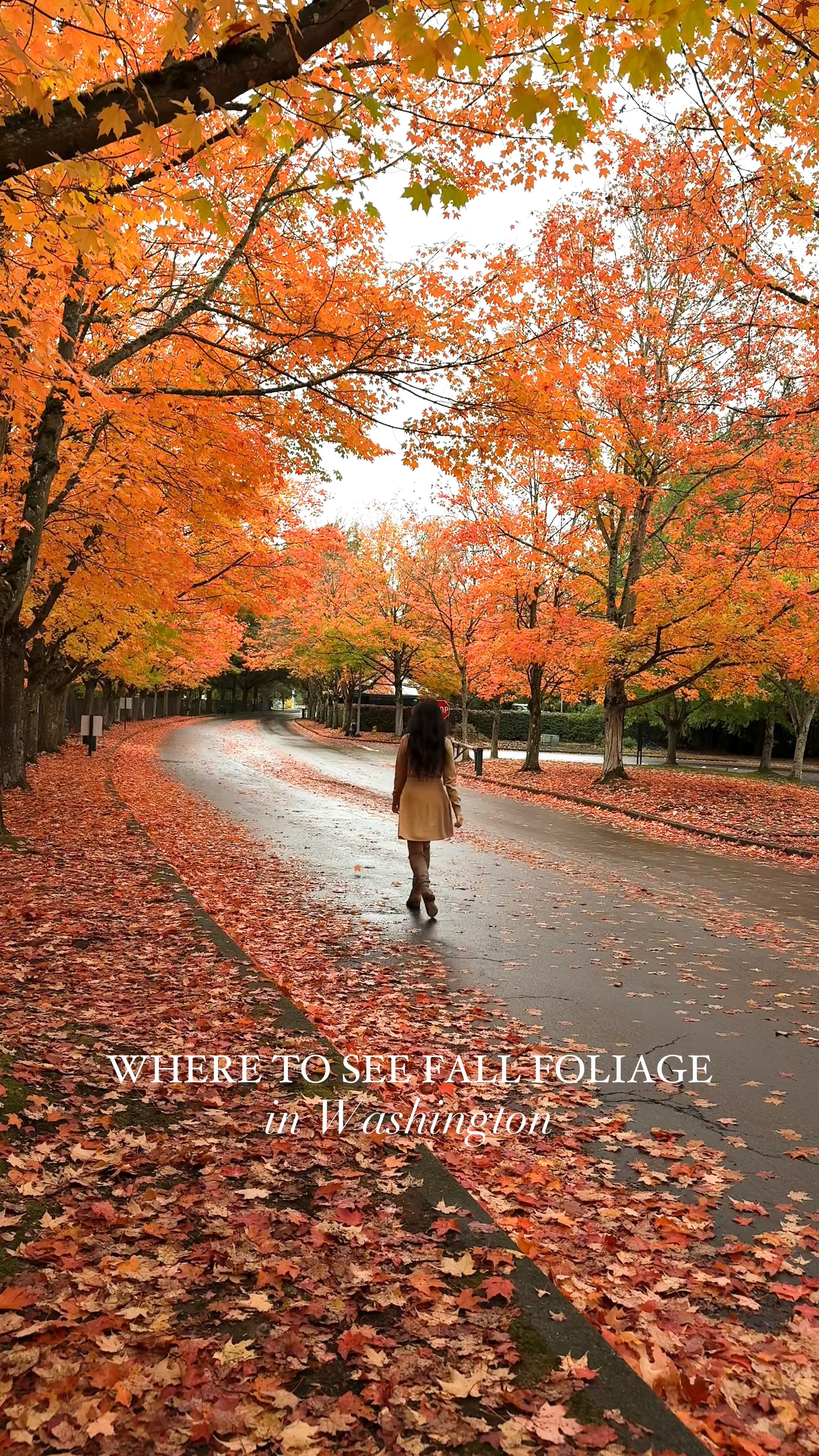 3 PLACES TO SEE FALL FOLIAGE IN WA! 

Sweater dress and chiffon skirt! Fall family photos 

#LTKHoliday #LTKSeasonal #LTKStyleTip
