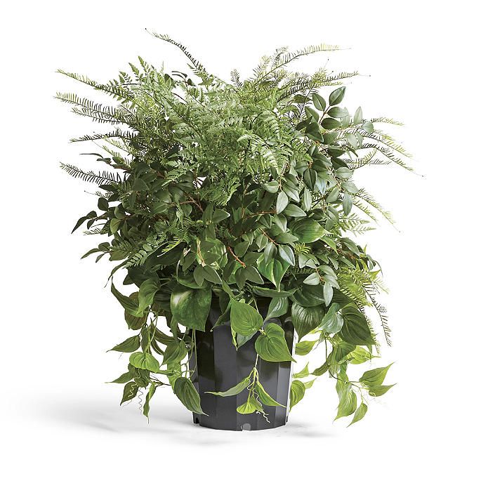 Outdoor Mixed Foliage Urn Filler | Frontgate | Frontgate