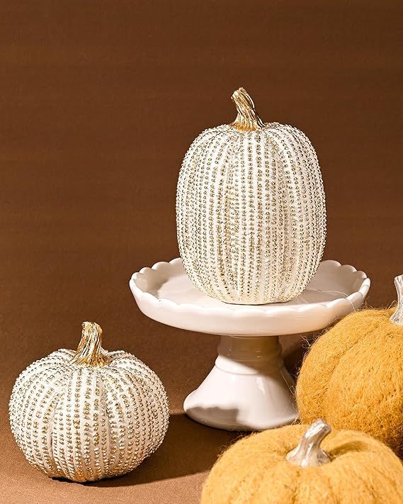 DN DECONATION Thanksgiving Resin Pumpkin Decor Figurine, 2 PCS Fake Pumpkin Statues for Rustic Fa... | Amazon (US)