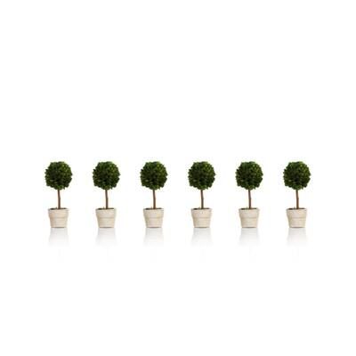 Buy Artificial Plants Online at Overstock | Our Best Decorative Accessories Deals | Bed Bath & Beyond