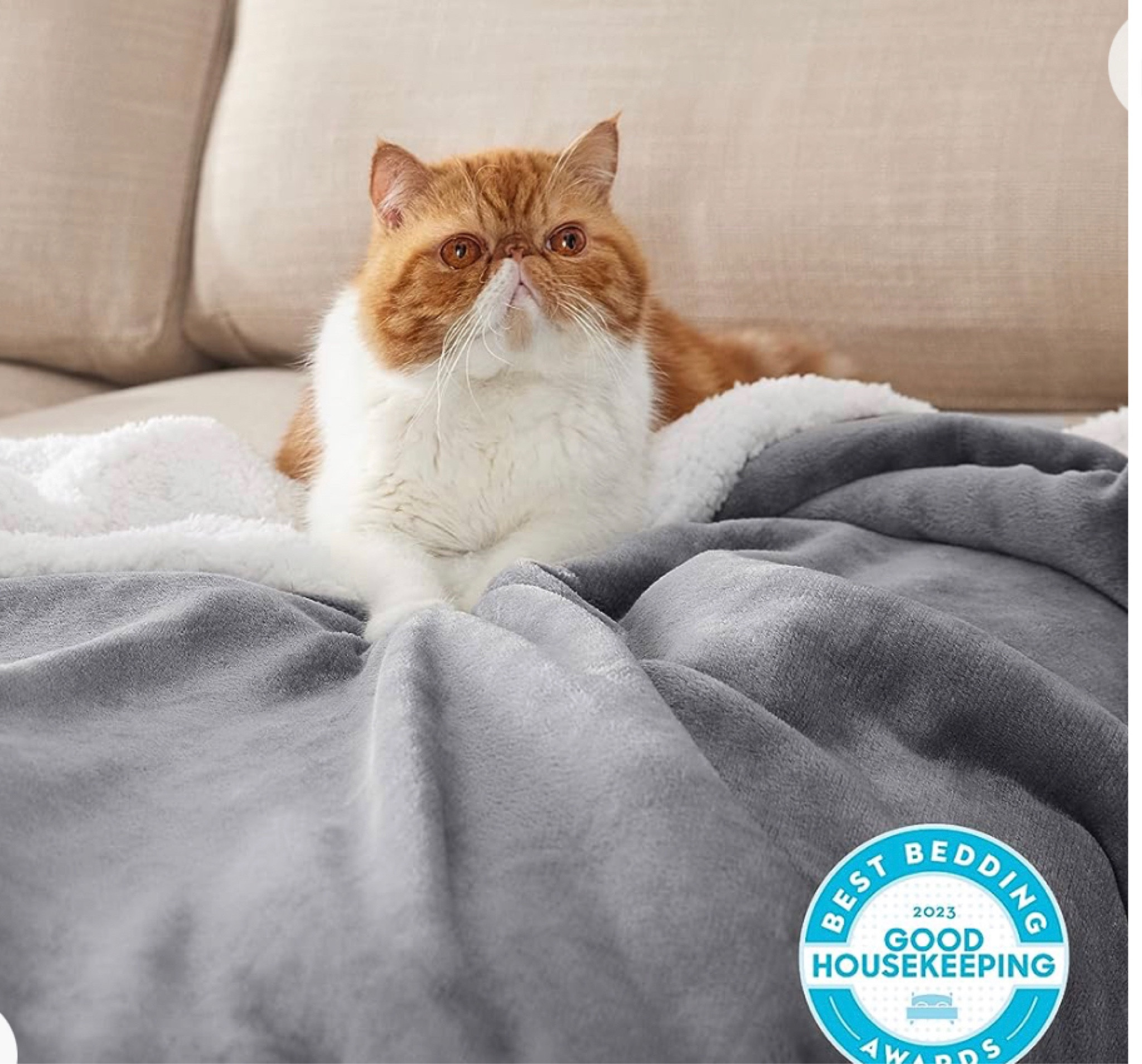 The soft and snuggly Sherpa blanket is perfect for fall. It’s 20% off now and comes in a bevy of colors and every size from twin to queen and king. https://rstyle.me/+fXjS7StVijatPW6WlI_D4g#LTKhome #LTKGiftGuide

#LTKSeasonal #LTKFindsUnder50 #LTKHome