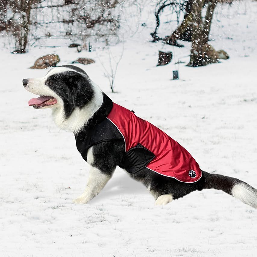 Warm Dog Coats with Harness Attached, Dog Winter Jacket with Harness for Cold Weather, Windproof Win | Amazon (US)