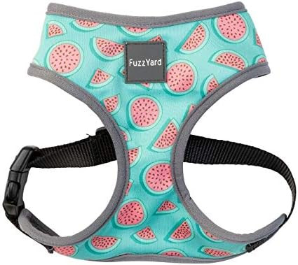 Amazon.com : Watermelon Dog Cat Premium Harness Vest Summer Punch Extra Small : Kitchen & Dining | Amazon (US)