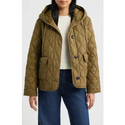 Bernardo Diamond Quilted Hooded Liner Jacket in Vanilla Ice at Nordstrom, Size Xx-Large | Nordstrom